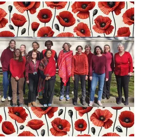 Opération Coquelicots au LOB #coquelicots #IWD2025