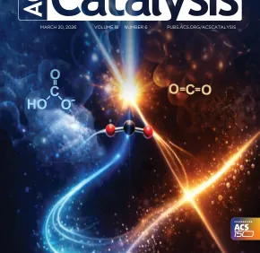 A new look at the photocycle of a photoenzyme