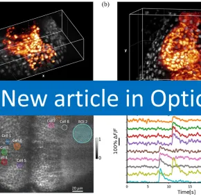 New publication in Optica - Two-photon light-sheet live imaging at kilohertz frame rate using birefringence-based pulse splitting