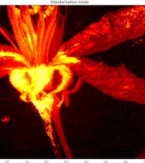 Améliorer le diagnostic des soins de santé