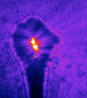 PARI (Particules, Applications, Rayonnement & Interaction)