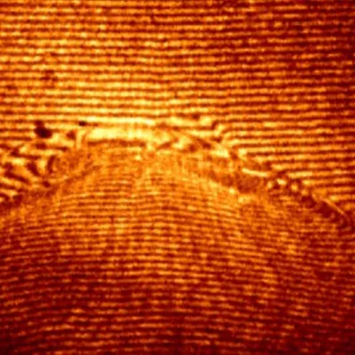 Soutenance de thèse Angelos Triantafyllidis