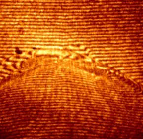 Soutenance de thèse Angelos Triantafyllidis