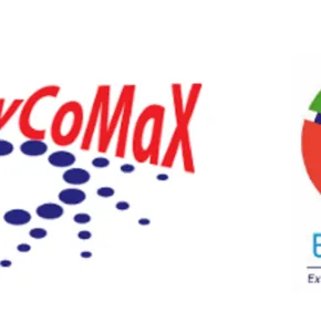 4th Workshop on Studies of Dynamically Compressed Matter with X-rays