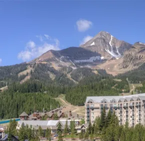 52nd Annual Anomalous Absorption Conference