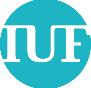 Institut Universitaire de France