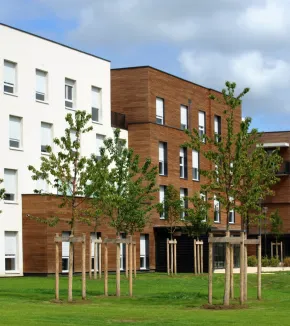 Accomodation on the campus