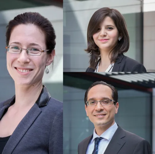 Track 5.2 - Innovation Models in Emerging Countries