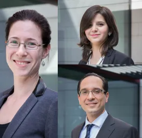 Track 5.2 - Innovation Models in Emerging Countries